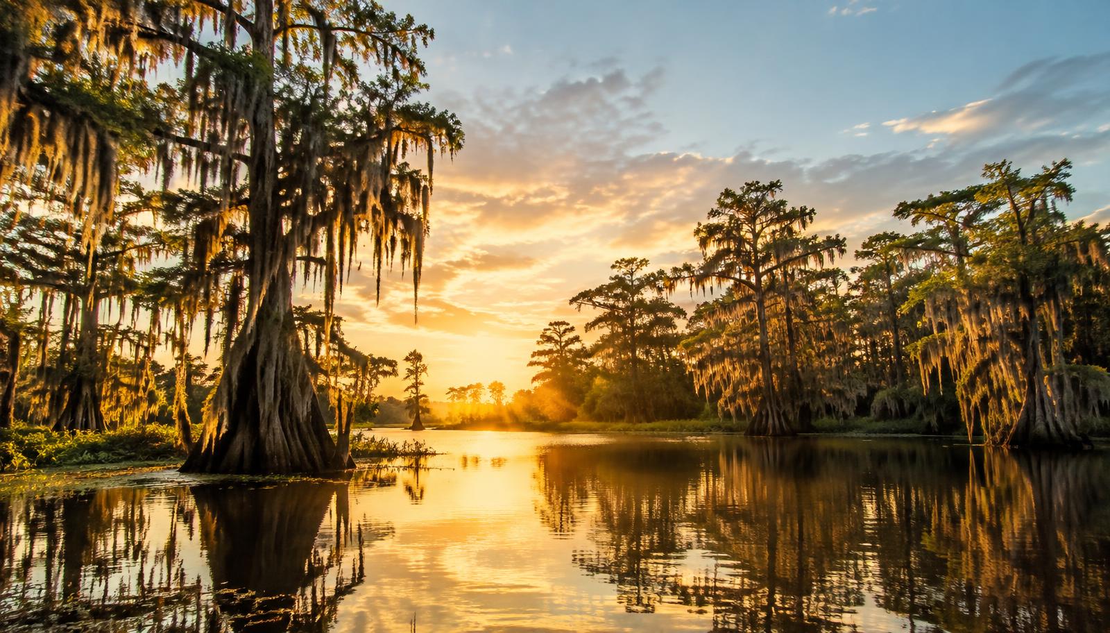 Louisiana bayou with moss-draped cypress trees at sunset